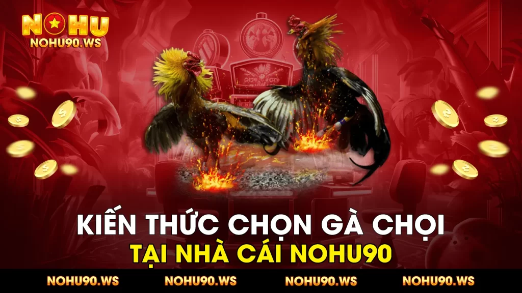 Kien thuc chon ga choi tai nha cai Nohu90